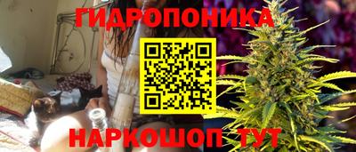 Альфа ПВП Шелехов