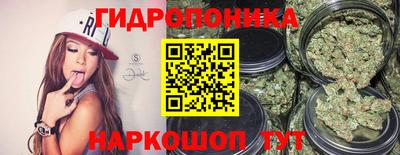 spice Шахты