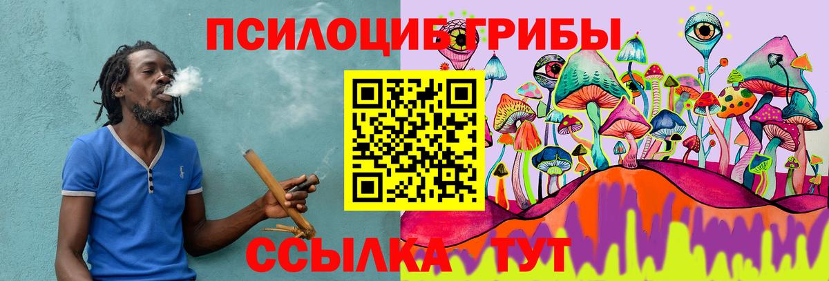 Аша  Галлюциногенные грибы Psilocybine cubensis  Вход с VPN 