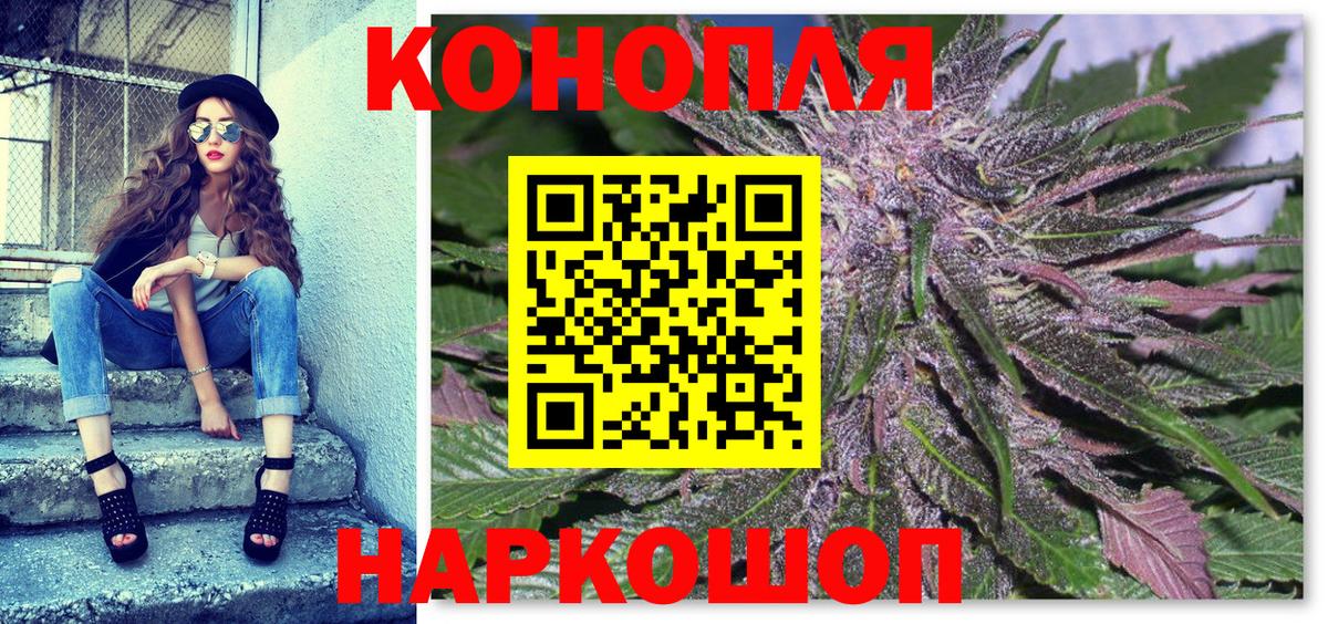 Шишки марихуана сатива Аша
